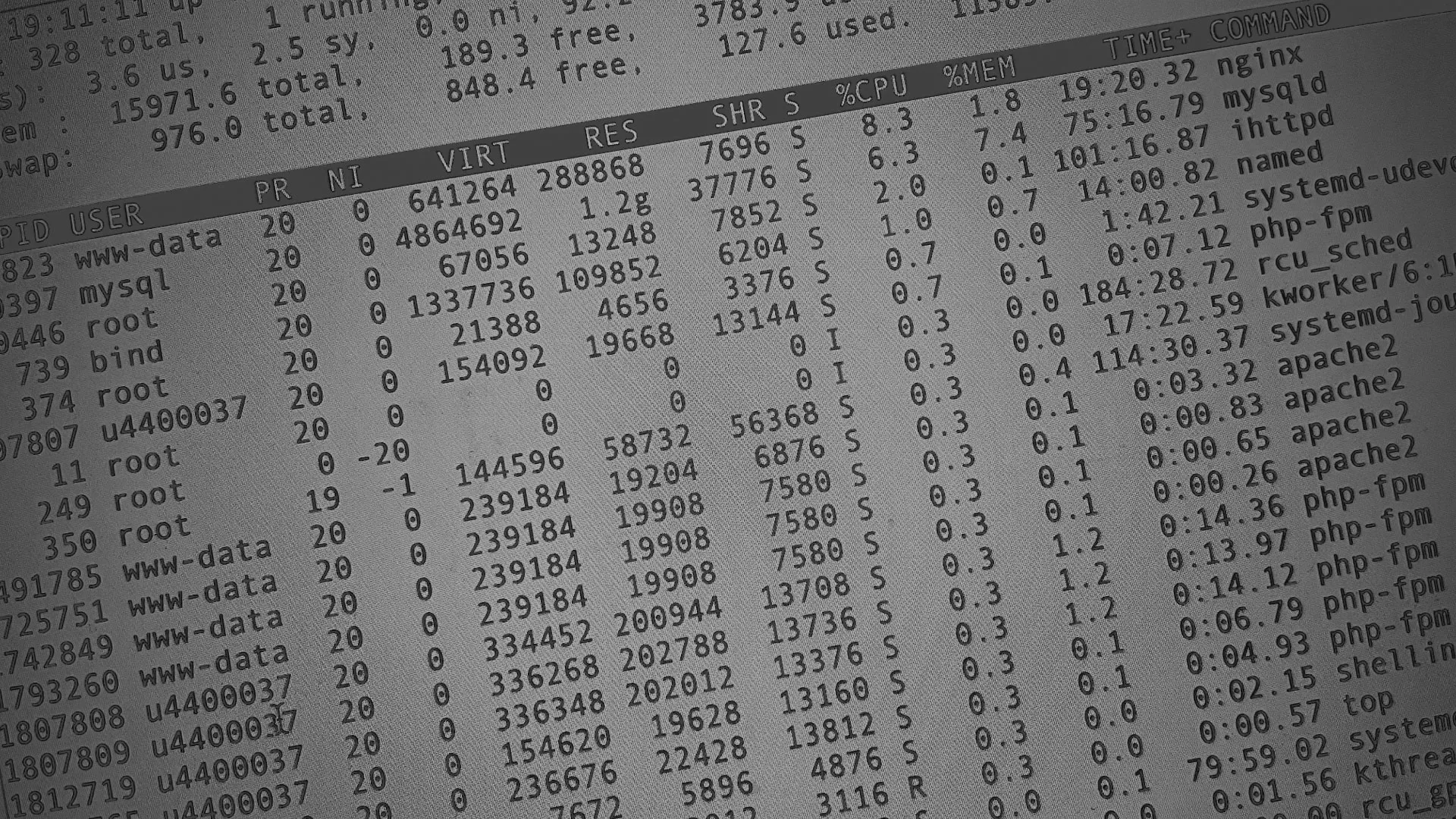 Настройка сервера в Лукоянове