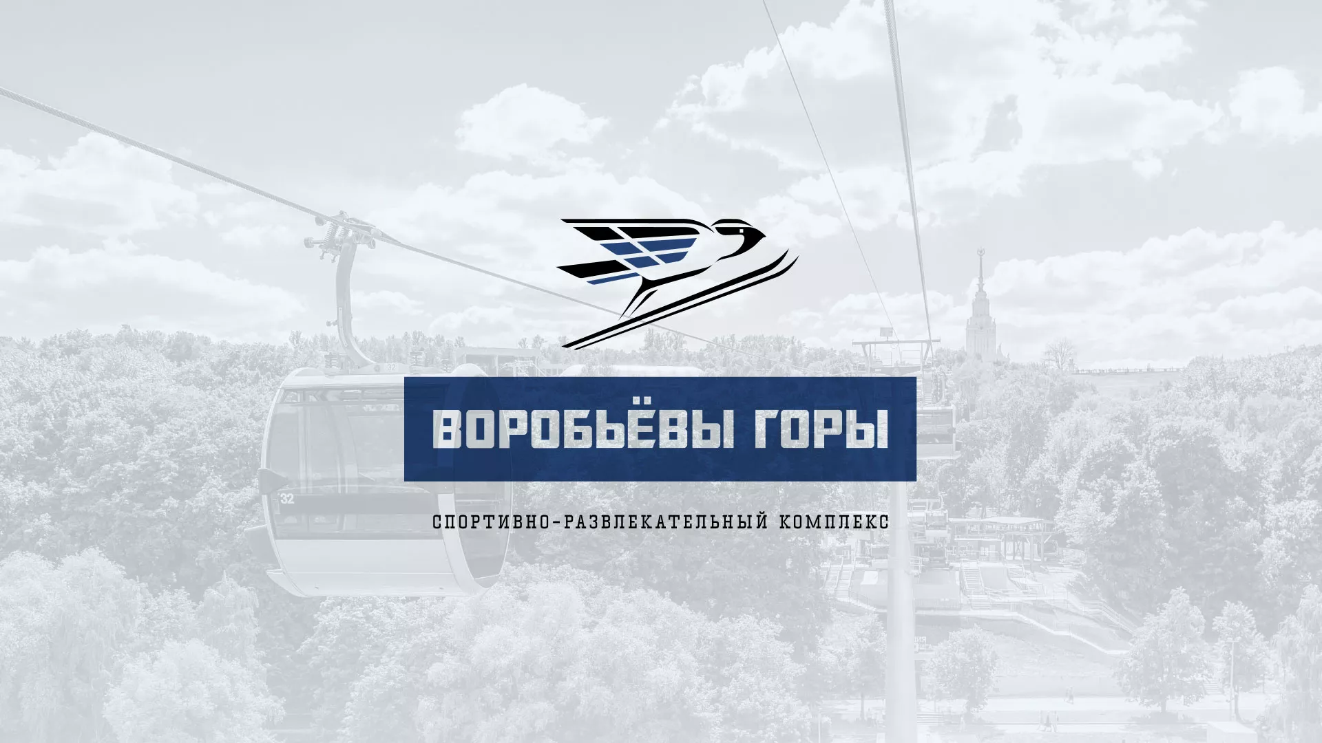Разработка сайта в Лукоянове для спортивно-развлекательного комплекса «Воробьёвы горы»