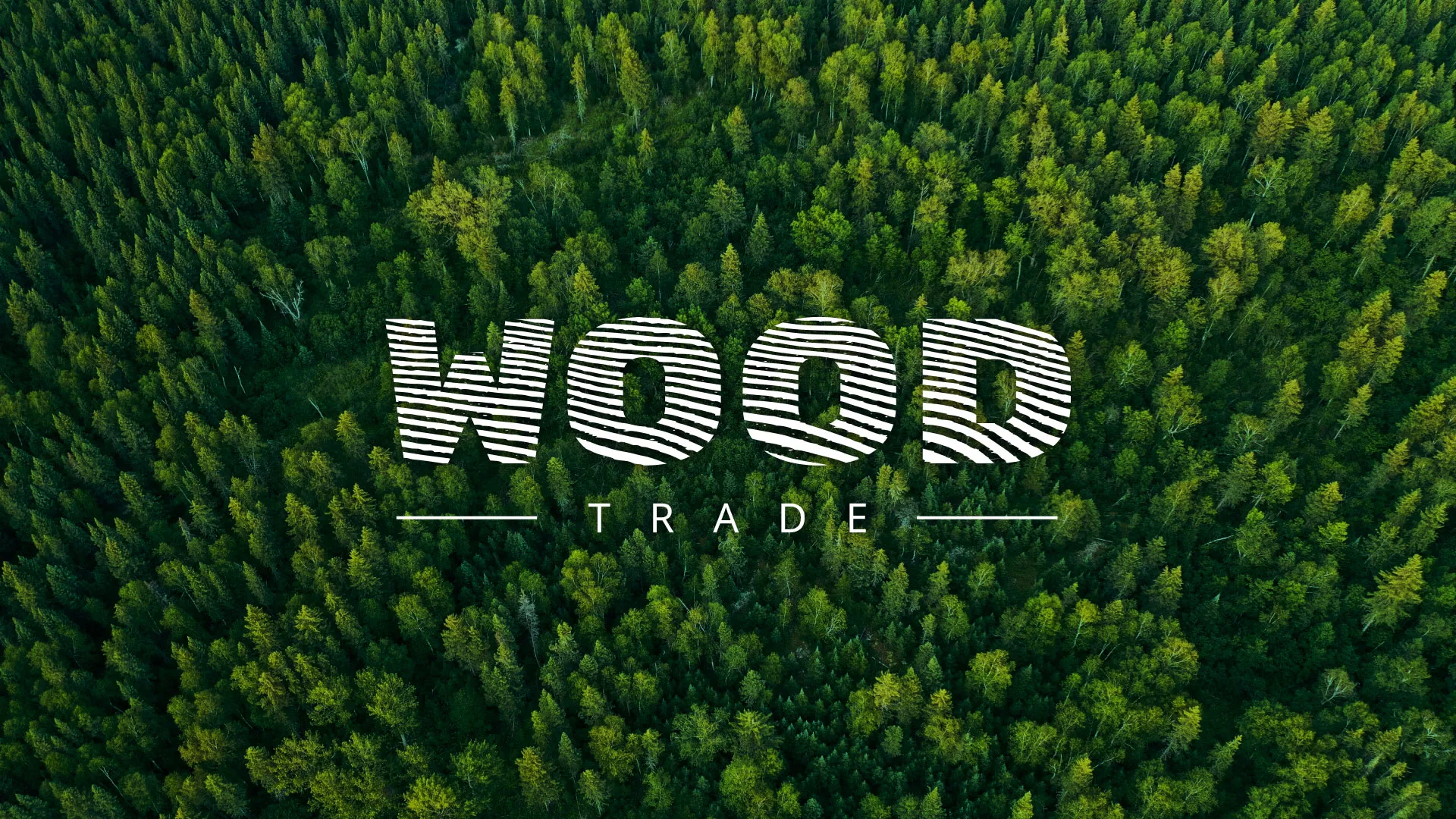 Разработка интернет-магазина компании «Wood Trade» в Лукоянове