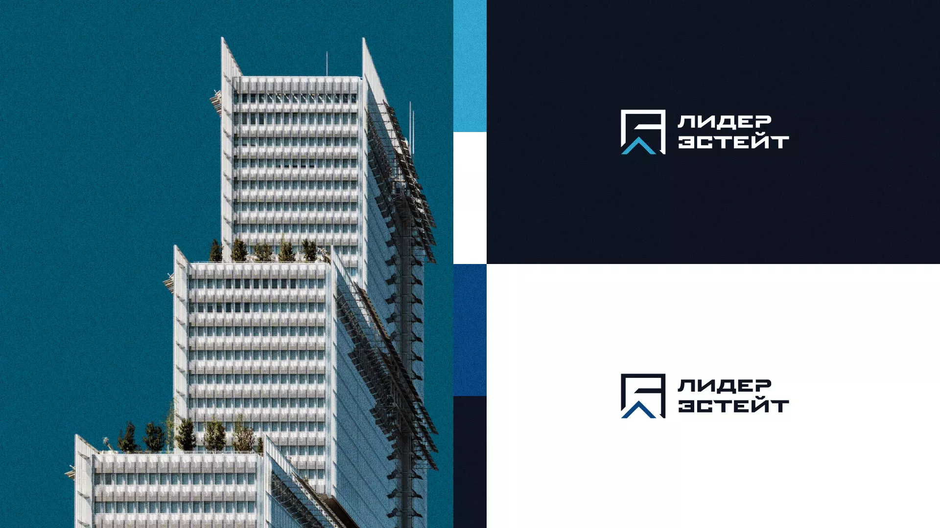 Разработка логотипа агентства недвижимости «Лидер Эстейт» в Лукоянове