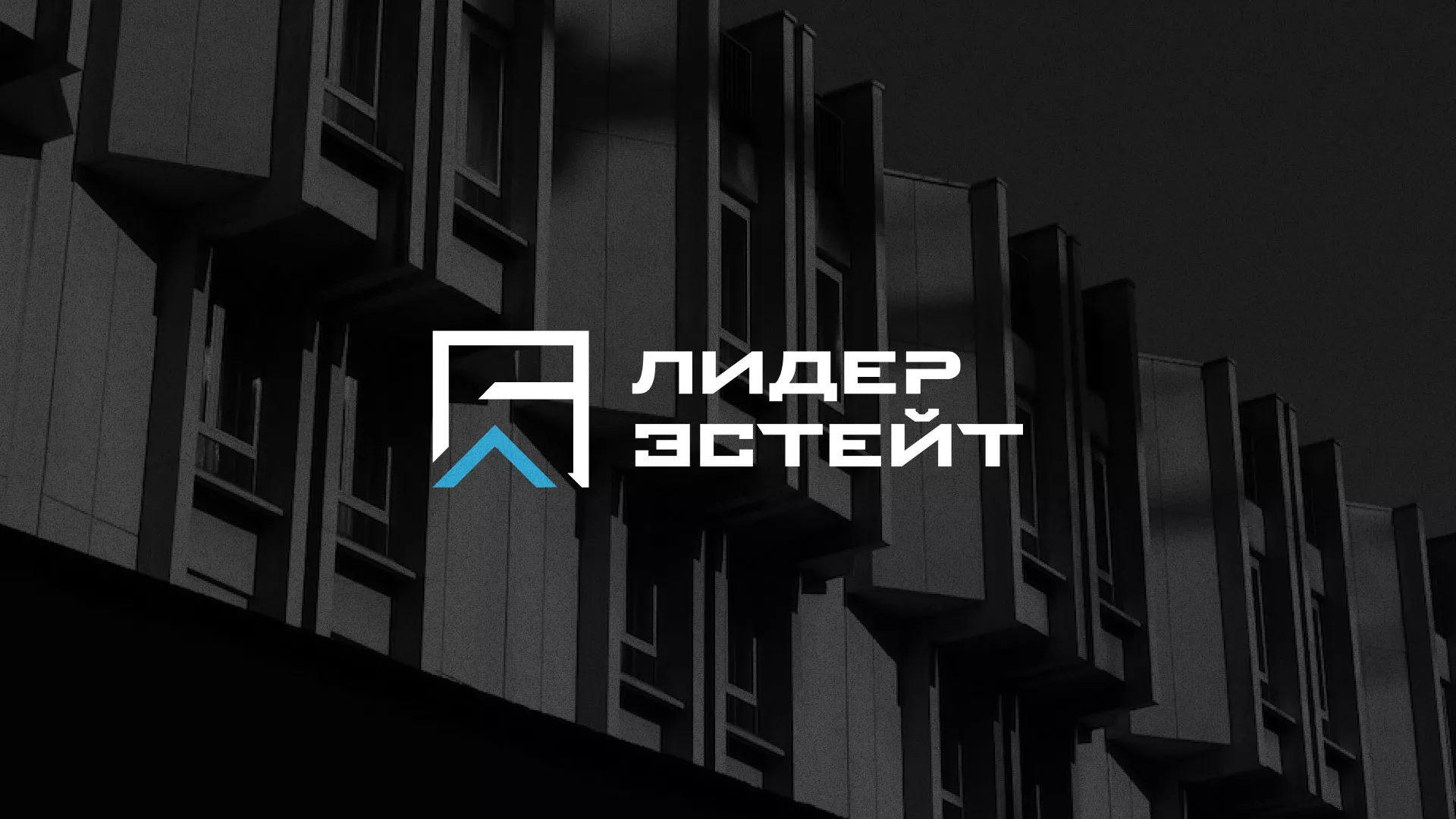 Разработка логотипа агентства недвижимости «Лидер Эстейт» в Лукоянове