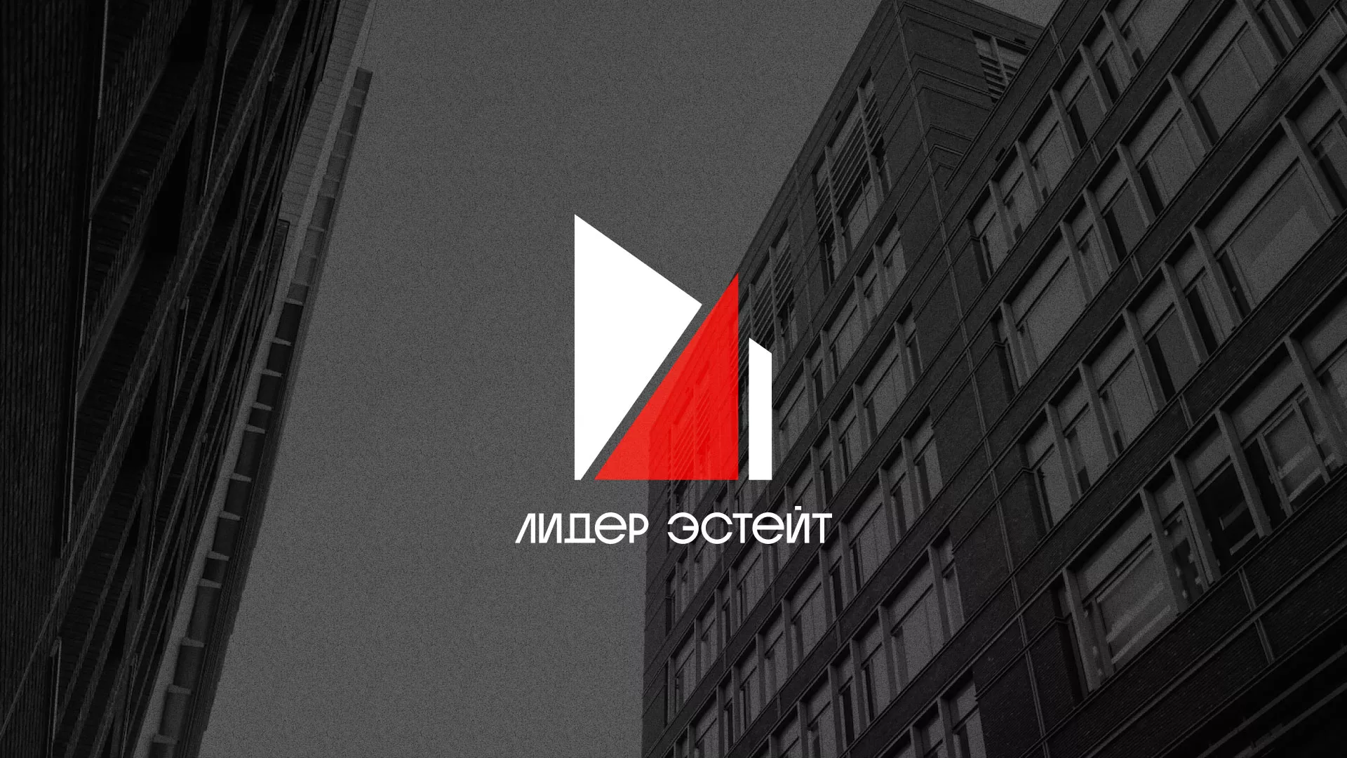 Сделали логотип для агентства недвижимости «Лидер Эстейт» в Лукоянове